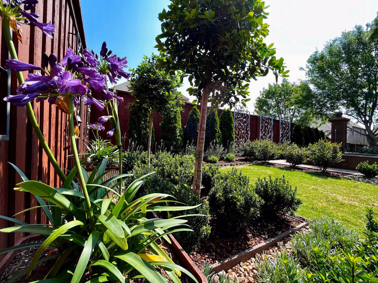 Lavendale — Dallas–Fort Worth, TX, view 1