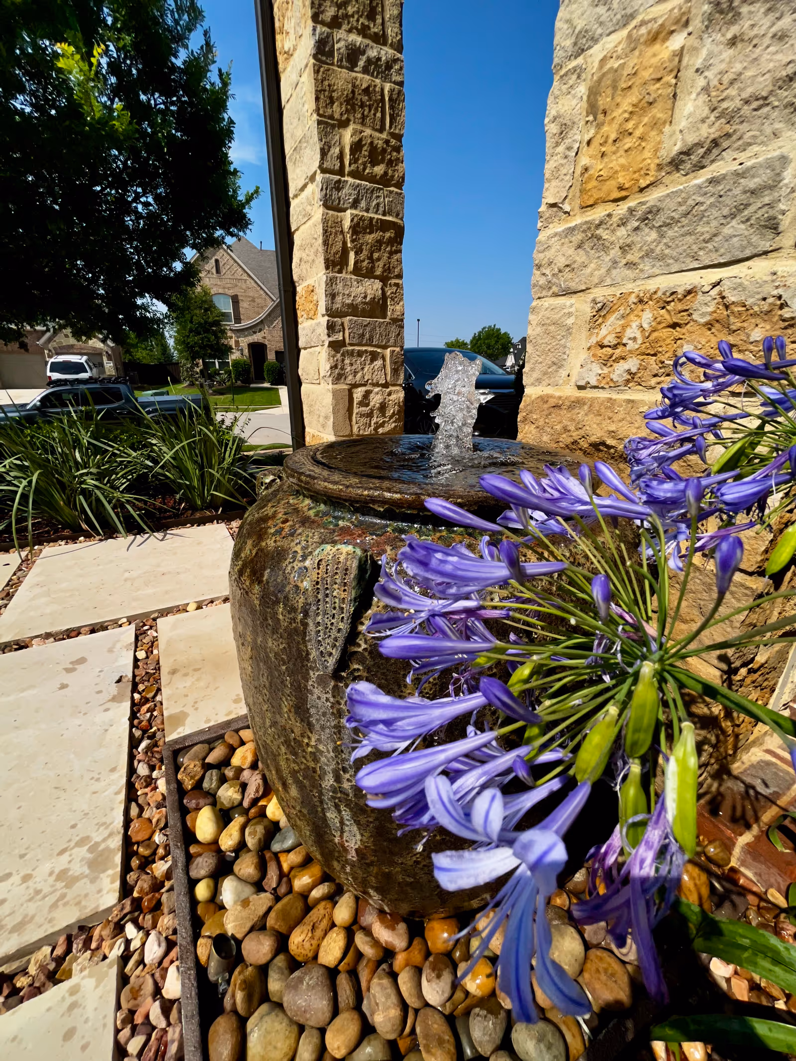 Lavendale — Dallas–Fort Worth, TX, view 3