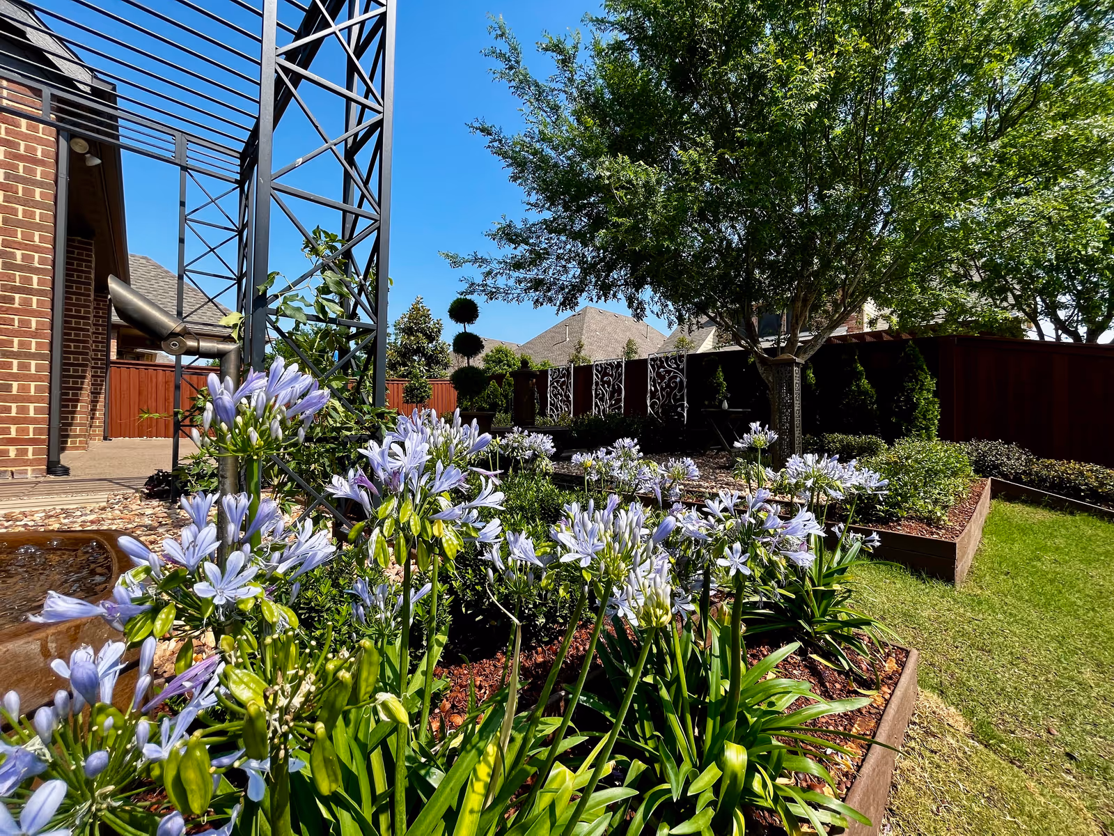 Lavendale — Dallas–Fort Worth, TX, view 6